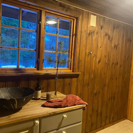 Traditionale Norwegian Mountain Cabin Passebekk Skrim Karibu No Water Connection Kongsberg Exterior photo
