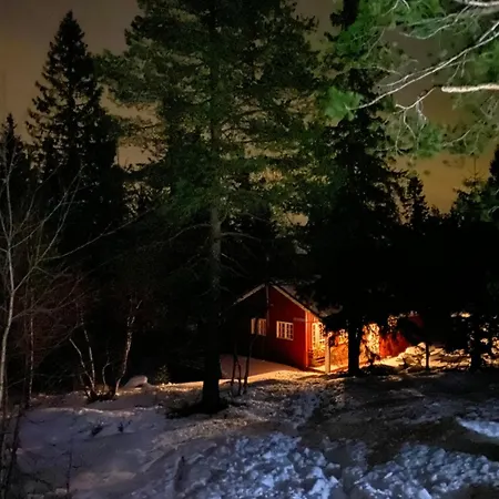 Traditionale Norwegian Mountain Cabin Passebekk Skrim Karibu No Water Connection Kongsberg Exterior photo
