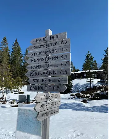 Traditionale Norwegian Mountain Cabin Passebekk Skrim Karibu No Water Connection Kongsberg Exterior photo