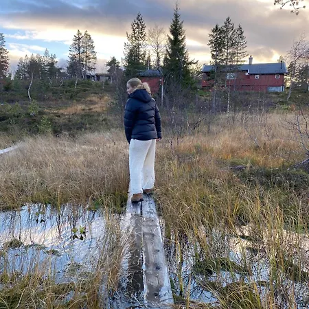 Traditionale Norwegian Mountain Cabin Passebekk Skrim Karibu No Water Connection Kongsberg Exterior photo